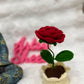 Rose Pot