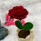 Rose Pot