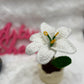 Lily Pot